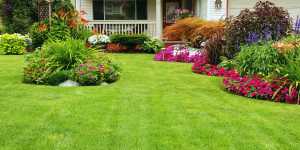 DistributingArticlesThroughBlogs Power Lawncare Websites lawncare websites